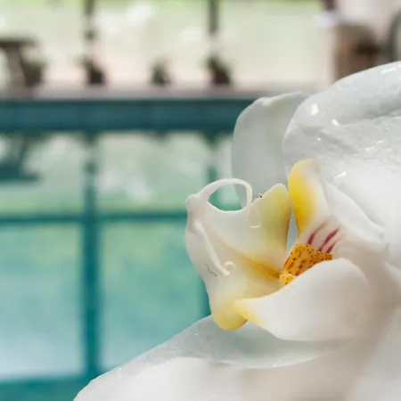 аква варвара Vetren Dol